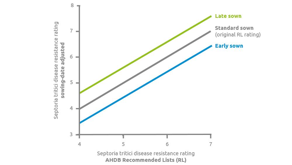 Chart showing the influence of drilling date on wheat septoria disease resistance ratings